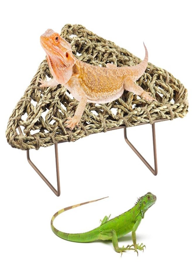 NANEEZOO Bearded Dragon Tank Accessories, Lizard Lounger for Rest, Reptile Hammock Bed with Natural Grass Fibers, Leopard Gecko Lounger Climbing Accessories for Habitats - Image 1